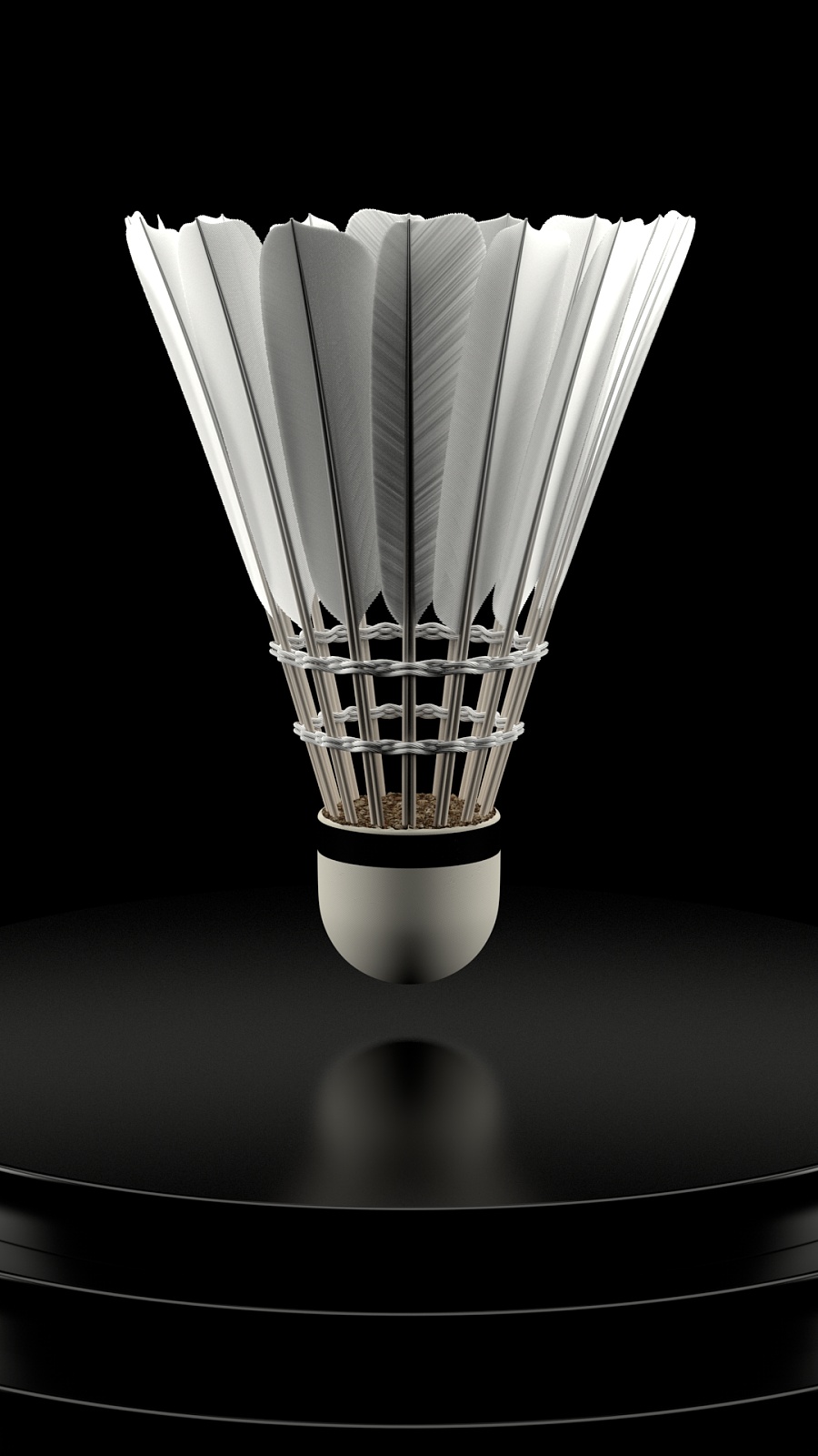 不仅仅是一 不仅仅是一